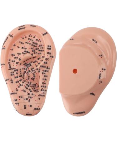 Human Ear Acupuncture Points Model - Transparent PVC Learning Tool for Home Use | Universal Acupuncture Anatomy - Buy Online on GoSupps.com