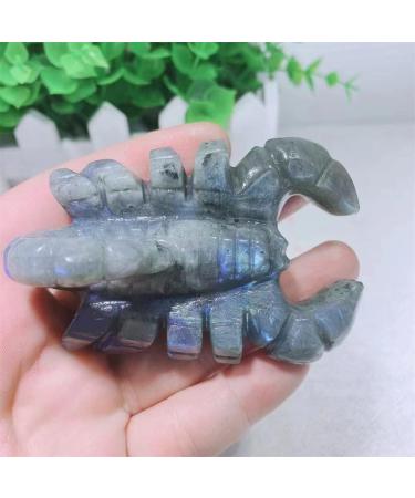 Crystal Rough 1pcs Natural Blue Labradorite Hand Crved Scorpion Polished Crystal Stones for Sale - Buy Online on GoSupps.com