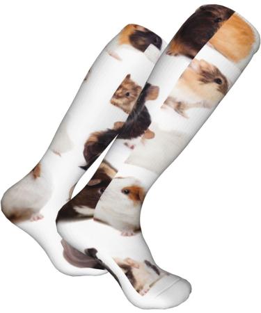 Guinea Pig Compression Socks for Men & Women | 15-20 mmHg Support for Running & Cycling - Buy Online on GoSupps.com