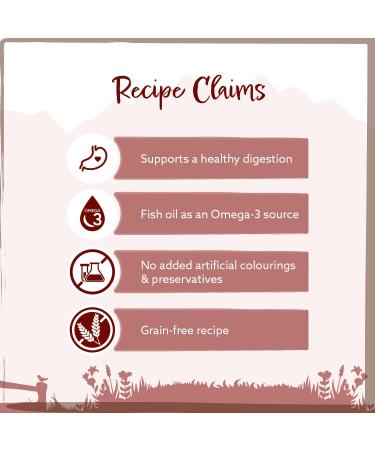 Wild Animal Premium Dry Dog Food Angus Beef with Sweet Potato and Carrot Grain Free Pack of 1 (1 x 2 kg) - Buy Online on GoSupps.com