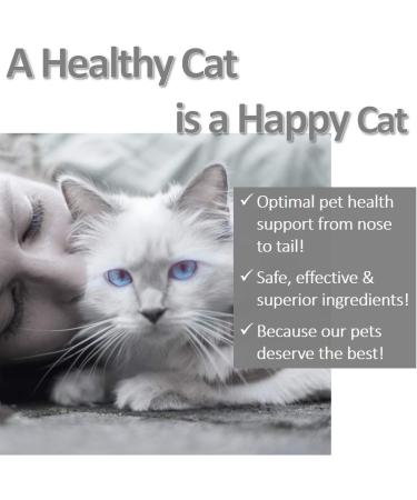 Vet Worthy Milk Replacement for Cats - Milk Formula Replacer for Puppies  Pregnant  Lactating  Elderly or Recovering Dogs - Enriched with Colostrum  Whey Protein  Vitamins  and Minerals - 12 oz - Buy Online on GoSupps.com