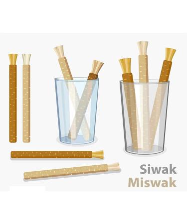 Organic Miswak Stick 7 Pcs with Holder - Natural Teeth Cleaning Sticks for Whitening and Disinfectant - Buy Online on GoSupps.com