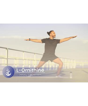 Pure Original Ingredients L-Ornithine (100 Capsules) Always Pure No Additives Or Fillers Lab Verified 1 Count (Pack of 100) - Buy Online on GoSupps.com
