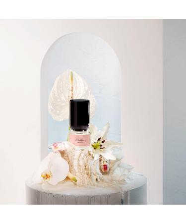 Boy Smells Flor de la Virgen Eau De Parfum for Men and Women Genderful Fine Fragrance Vegan Perfume Scent Notes of Pomelo Jasmine Petals & Musks 2.2 Fl. Oz. - Buy Online on GoSupps.com