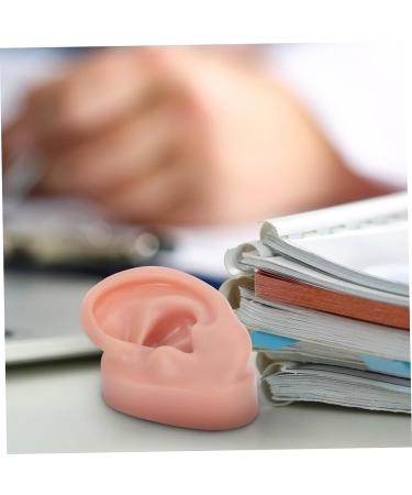 Silicone Human Ear Model for Massage, Piercing, and Simulation | Ear Display Body Kit | Healeved 6.5x3.5cm - Buy Online on GoSupps.com