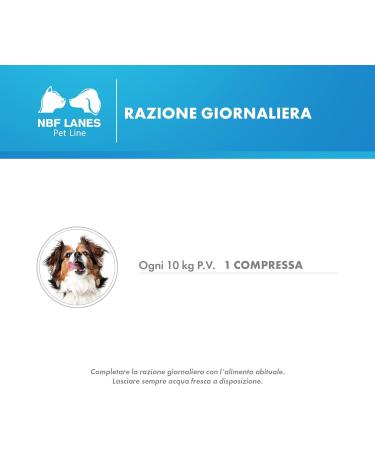 NBF Lanes | Zincogen Pet Immuno Dog 60 Tasty Tablets for the normal functioning of the Dog's Immune System - Buy Online on GoSupps.com