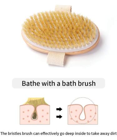 Zhurson Body Brush - Natural Oval Bristle for Lymphatic Health Blood Circulation Metabolism Boost & Exfoliation - Buy Online on GoSupps.com