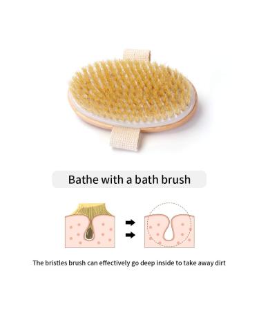 Zhurson Oval Dry Brushing Body Bath Brush - Natural Bristles for Exfoliation and Circulation Boost - Buy Online on GoSupps.com