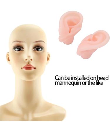 Silicone Ear Model - Flexible & Soft for Hospital Display | Educational Simulated Ear for Learning - Buy Online on GoSupps.com