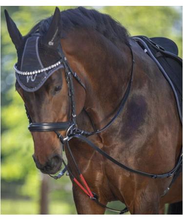 Waldhausen W-Trainrein Leather Triangle Reins - Flexible Lunging Accessories for Horse Training & Gymnastics | Black Warmblood Full - Buy Online on GoSupps.com
