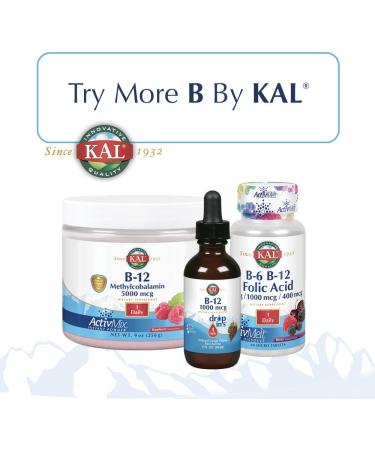 KAL B-6 B-12 Folic Acid Berry - 60 Micro Tablets | Supports Energy & Vitality - Buy Online on GoSupps.com