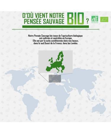 Organic Tablets - Wild Thought 120 - Buy Online on GoSupps.com