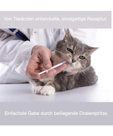 Felimove Dreier-Set Renal for Cats (3 x 60 ml) - Kidney Support Supplement with Chitosan EPA DHA & Herbal Ingredients - Buy Online on GoSupps.com