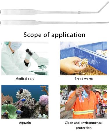 Winterworm Acrylic Reptile Feeding Box Transparent Breeding Box Terrarium with 2 Pcs Straight and Curved Tweezers for Pet Insect Spider Crickets Snails Hermit Crabs Lizard (Large(20x12x12cm)) - Buy Online on GoSupps.com