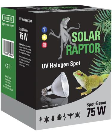 Buy SOLAR RAPTOR UV Halogen Spot 75W - Reptile Heat Lamp & Daylight Spectrum Terrarium Light - Buy Online on GoSupps.com
