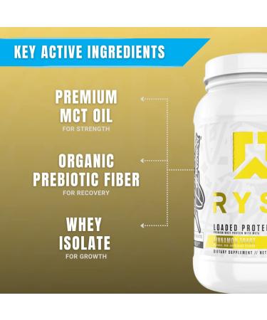 Ryse Core Series Loaded Protein - 25g Whey Protein, Prebiotic Fiber, MCTs - Cinnamon Toast - Buy Online on GoSupps.com