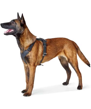 HUNTER Aalborg Leather Dog Harness - Black ML/1 | Premium Comfort & Style for International Shipping - Buy Online on GoSupps.com