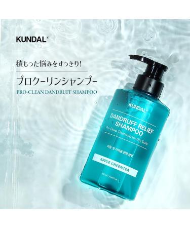 THE SKIN FACTORY CO LTD Kundal Dandruff Relief Shampoo Apple Green Tea - Buy Online on GoSupps.com