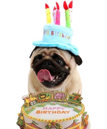Cute Birthday Cake Hat for Pets with 5 Color Candles - Blue - Buy Online on GoSupps.com