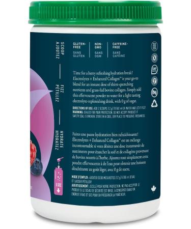 Organika Enhanced Collagen Protein Power Greens - with 16 organic fruits and vegetables & Electrolytes + Enhanced Collagen- Wildberry Flavour- Sugar-Free Hydration + Protein 360 gram - 30 Servings Nutritional Supplement+ Wildberry Flavour - Buy Online on GoSupps.com