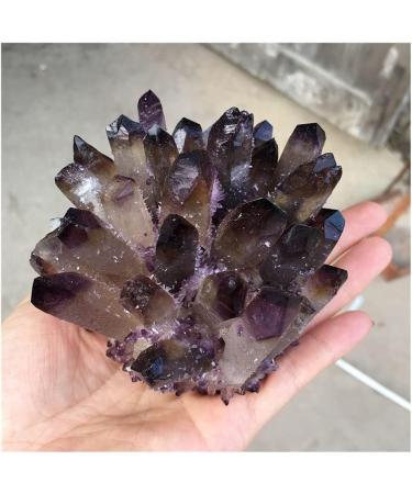 Natural Crystal Rough Natural Crystal Cluster Brown and Purple Specimen Purple Quartz Reiki Stone Raw Crystal Home Decor Household (Size : 400-500g) - Buy Online on GoSupps.com