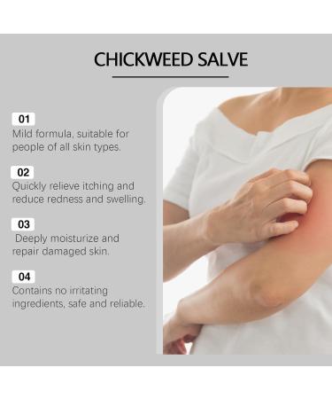 ERMOPATRY Organic Chickweed Salve 4oz - Chickweed Herbal Ointment Salve Cream Skin Soothing Balm (1pcs) - Buy Online on GoSupps.com