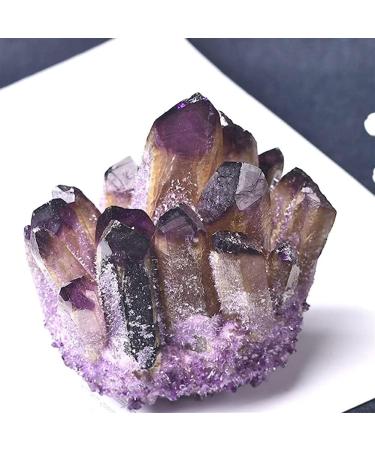 Room Decoration Natural Amethyst Cluster Quartz Crystal Rock Stone Purple Specimen Natural Rregular ShapeStone Home Decor 1PC for (Color : Amethyst Cluster Size : 500 600g) 500 600g Amethyst Cluster - Buy Online on GoSupps.com