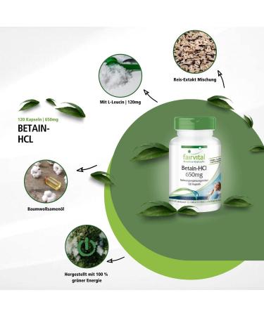 Fairvital Betaine HCl 650mg - High Dose Vegan Betaine Hydrochloride Capsules - 120 Count for Optimal Digestion - Buy Online on GoSupps.com