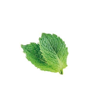 Iroha Foot Sock Mask - Peppermint Relaxing Socks (2 Pieces) - Nourish & Soothe Your Feet - International Shipping Available - Buy Online on GoSupps.com