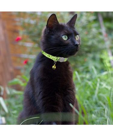 Tagme Personalized Cat Neck Band - Adjustable Safety Collar with Name & Phone - 2-Pack Green (18-28 cm) - Buy Online on GoSupps.com