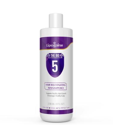 Lipogaine Big 5 Hair Stimulating Shampoo for Hair Thinning & Breakage  for All Hair Types  Men and Women  Infused With Biotin  Caffeine  Argan Oil  Castor oil and Saw Palmetto (Purple)