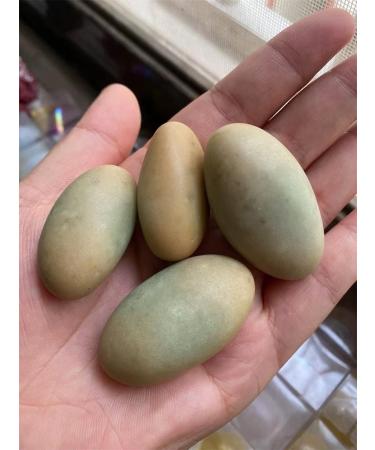 1pcs Natural Stones Luminous Oval Stone Raw Gemstone Glow in The Dark Stone Crystal Rough Stone Specimen Minerals - (Size: 20-40g) Full of Texture - Buy Online on GoSupps.com
