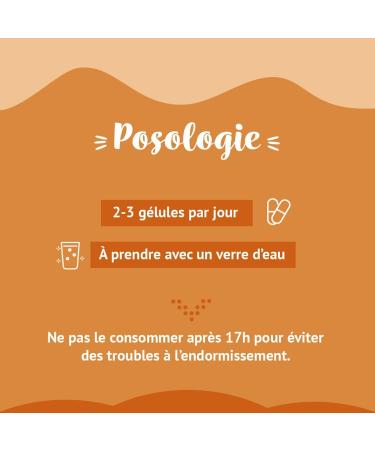 Phytocea - Re.Boost | Pure Organic Guarana Food Supplement | Fatigue Concentration Mental Load | Vitamins A E B1 B3 Caffeine | 60 Organic Vegetable Capsules | Made in France - Buy Online on GoSupps.com