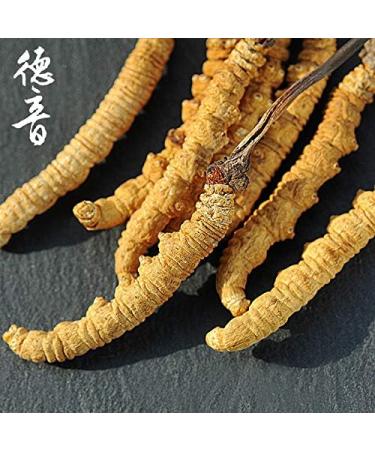 Akersunder Genuine Dried Cordyceps sinensis/winterworm summerherb Ophiocordyceps sinensis Tibet Featured (2 pcs) net Weight 1g. - Buy Online on GoSupps.com