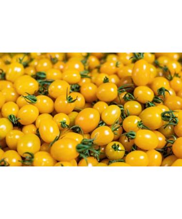  Italian Gourmet E.R. Grangusto Pomodoro Datterino Giallo Pack of 6 whole unpeeled yellow tomatoes in tomato juice Italian tomato 400g can + 400g can - Buy Online on GoSupps.com