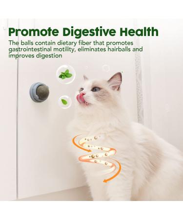 Potaroma 3 Silvervine Catnip Balls - Edible Kitty Toys for Safe & Healthy Teeth Cleaning | Cat Wall Treats Gray - Buy Online on GoSupps.com