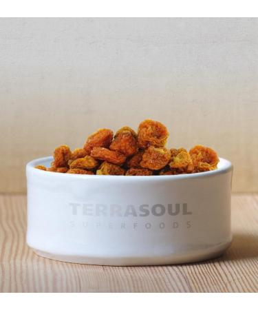 Terrasoul Superfoods Organic Golden Berries - 2 Pounds | Premium Quality Superfood - Buy Online on GoSupps.com
