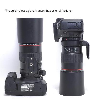 iShoot Tripod Mount Ring for Canon EF 100mm f/2.8L Macro Lens | ARCA Compatible Quick Release Plate | Replacement for Canon Tripod Mount Ring D - Buy Online on GoSupps.com