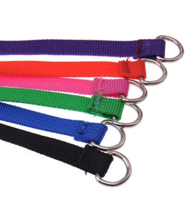 6PCS Dog Slip Leads - Nylon Rope for Pet Control and Grooming - Buy Online on GoSupps.com