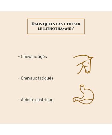 Prince Equin - LITHOTHAMNE - Horse nutritional supplement - 700 g bag - Natural calcium - Helps regulate gastric acidity - Remineralization - French brand - Buy Online on GoSupps.com