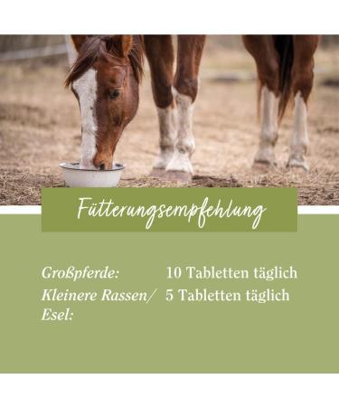 Buy Tierlieb Selenium Tablets for Horses | Vitamin E & ADMR Compliant | 500 Dietary Supp. Feed Tablets - Buy Online on GoSupps.com
