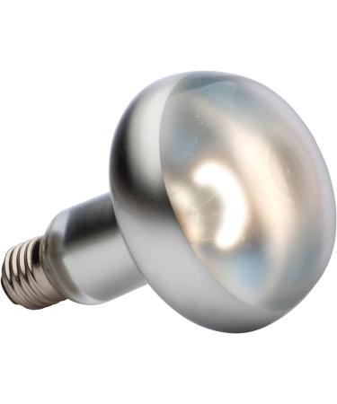 Exo Terra Intensive Sun Spot Lamp 150W - Pack of 2 | High-Performance Reptile Lighting for Optimal Habitat - Buy Online on GoSupps.com