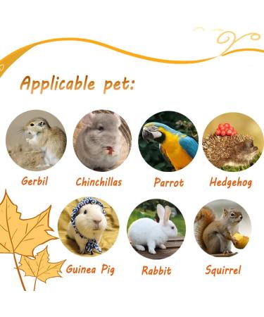 Litewoo Large Parrot Bird Bed Hammock - Winter Warm Plush Nest Toy for Conure, Lovebird, Parakeet, Cockatiel, Chinchilla, Guinea Pig, Squirrel - Cage Accessory - Buy Online on GoSupps.com