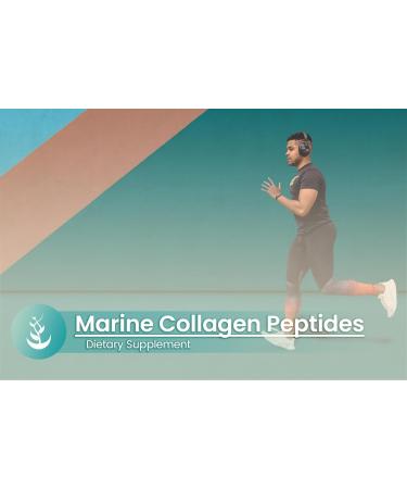 PURE ORIGINAL INGREDIENTS Marine Collagen Peptides (100 Capsules) Always Pure No Additives or Fillers Lab Verified 100 Count (Pack of 1) - Buy Online on GoSupps.com