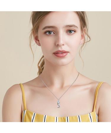 Urn Pendants & Ash Chains - 925 Sterling Silver Memorial Jewelry for Women | Dragonfly Moonstone Heart Designs - Buy Online on GoSupps.com