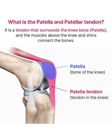 Wide & Soft Patella Strap Knee Brace - Fast Recovery & Muscle Fatigue Relief - Adjustable for All Exercises (Right - Buy Online on GoSupps.com