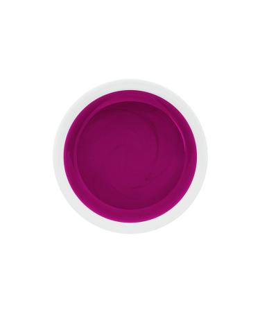 UV LED Color Gel - Classic Lilac Purple - Studio Quality - Made in Germany - 5ml - International Shipping - Buy Online on GoSupps.com