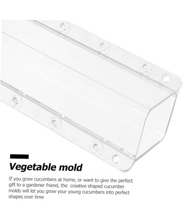 Kisangel 2pcs Square Cucumber Vegetables Vegetable Grow Forming Mould Tool Fruit Container - Buy Online on GoSupps.com
