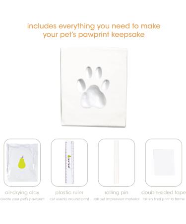 Pearhead Pet Photo Reminder Box & Impression Set - Paw Print Souvenir Box for Dogs & Cats - Black Urn for Ashes Collars & Toys - Buy Online on GoSupps.com