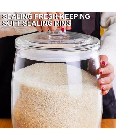 Sions Clear Glass Rice Dispenser Grain Storage Bucket with Sealing Lid Multifunctional Flour And Grain Container Creative Glass Food Storage Container 6kg - Buy Online on GoSupps.com